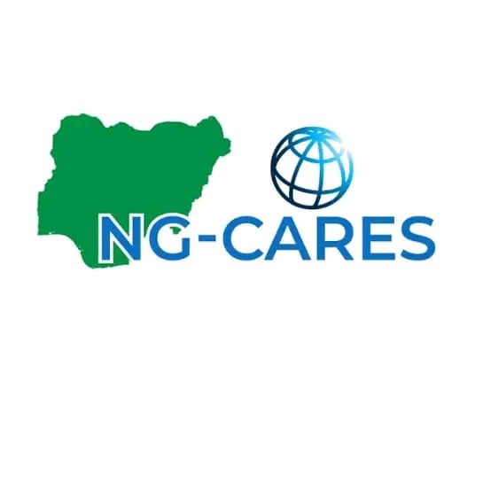 Link To Apply For NG CARES Phase 2 Grant 2024